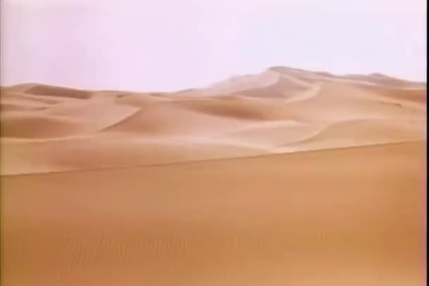 Weitwinkelaufnahme Der Wüste — Stockvideo