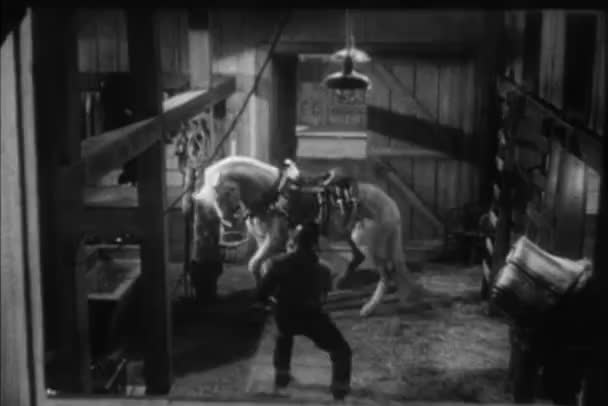 Kowboj Chroniąc Siebie Pobudzonych Konia Stabilne 1940 — Wideo stockowe
