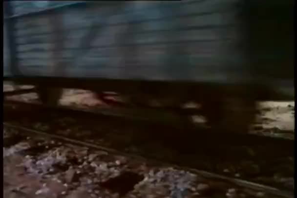 火车旅行下来铁轨 — 图库视频影像