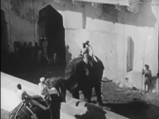 Transição Tiro Elefantes Lutar Aldeia Indiana 1940 — Vídeo de Stock