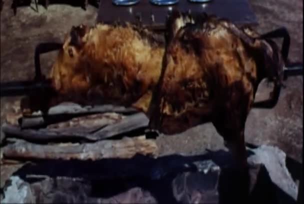 Άνθρωπος Σούβλα Ψήσιμο Ένα Γουρούνι Στο Πικ Νικ Δεκαετίας 1960 — Αρχείο Βίντεο