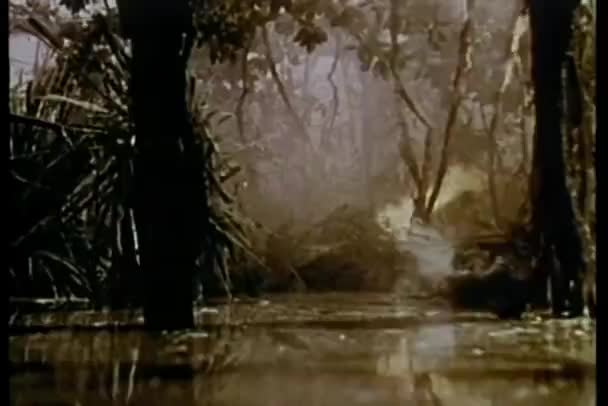 レオパードは 背景に水を通って走る — ストック動画