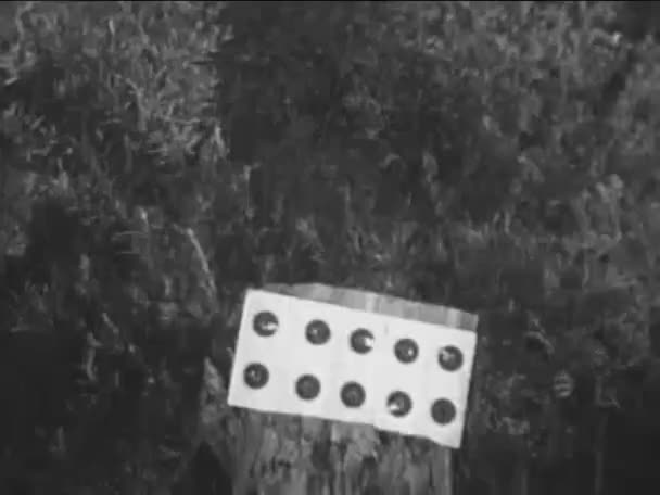 Raven Helyettesíti Céltábla 1940 Évek — Stock videók