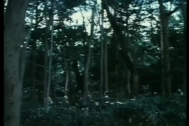 Ниндзя Пойманные Ловушку Лесу — стоковое видео