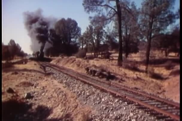 Steam Locomotive Passing Countryside — Stock Video