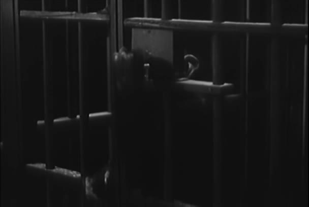 Macaco Desbloqueando Gaiola Jogando Fora Chave 1950 — Vídeo de Stock