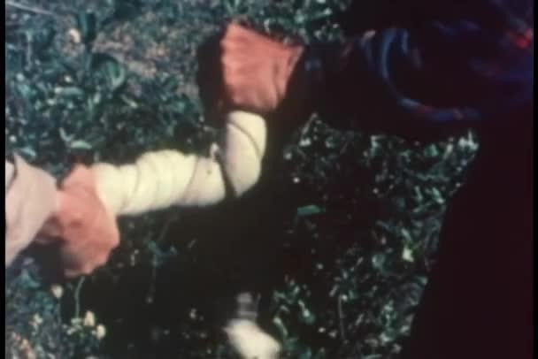 つのペアの手をねじるとカリブー皮膚の乾燥のミディアム ショット — ストック動画