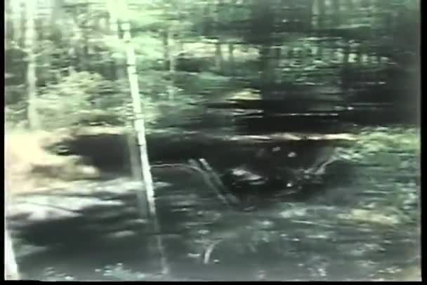 Vojáci Cestují Přes Zalesněné Oblasti Vojenský Džíp — Stock video