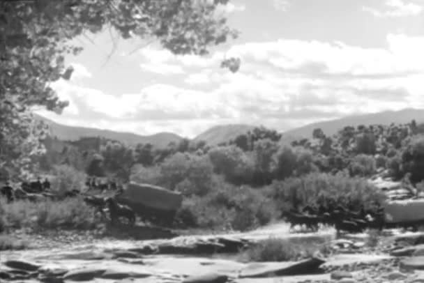 Wide Shot Wagon Train Crossing Stream 1930S — Stock Video