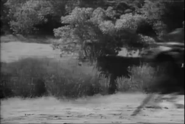 Ковбой Прыгает Скачущей Лошади Сбивая Всадника 1930 — стоковое видео