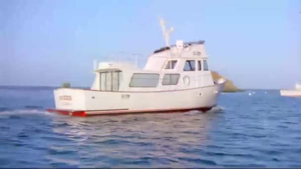 Iate Que Navega Através Água Catalina Island 1970 — Vídeo de Stock