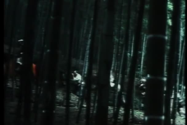 Японские Воины Бегают Лесу — стоковое видео