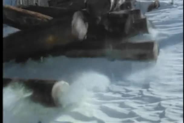 Logs Πέφτοντας Χιονισμένο Λόφο Και Χτύπημα Ρυμουλκούμενο — Αρχείο Βίντεο