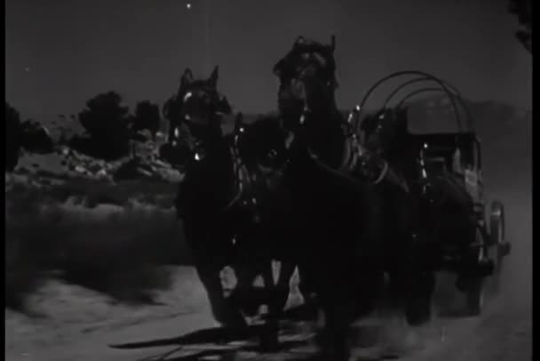 Runaway Kůň Tažený Kočár Spěchá Venkovské Silnici — Stock video
