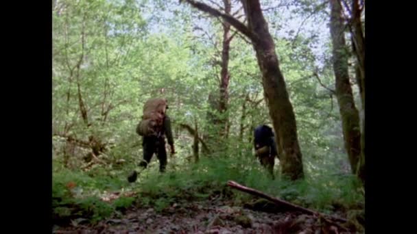 二人の男が 1970 年代の森 ハイキングのローアングル ビュー — ストック動画