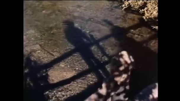 站在水上的人与女人的倒影 二十世纪五十年代 — 图库视频影像