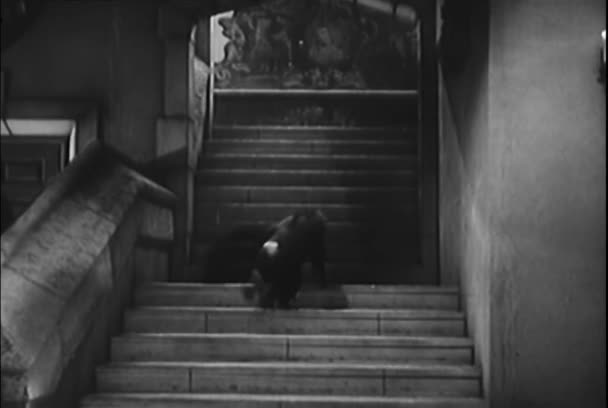Low Angle View Monkey Climbing Mansion Staircase 1950S — Stock Video