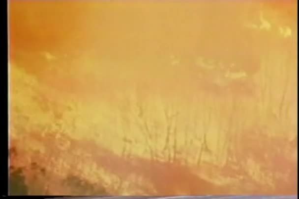 Incendio Boschivo Vista Panoramica — Video Stock