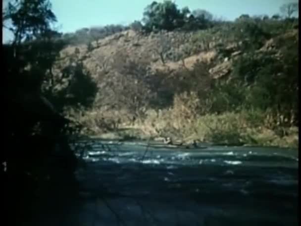 Nehirde Kürek Çeken Insanlar — Stok video