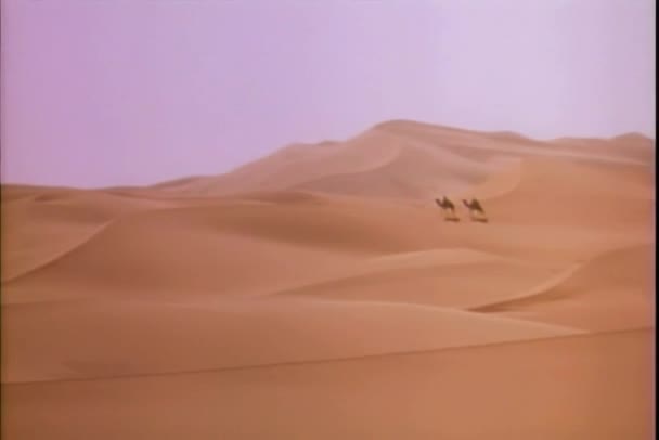在沙漠中骑骆驼的两个人的全景 — 图库视频影像