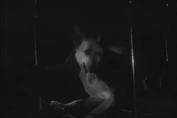 Німецька Вівчарка Відпочиваючи Перевезення Сидіння Ніч 1940 Років — стокове відео