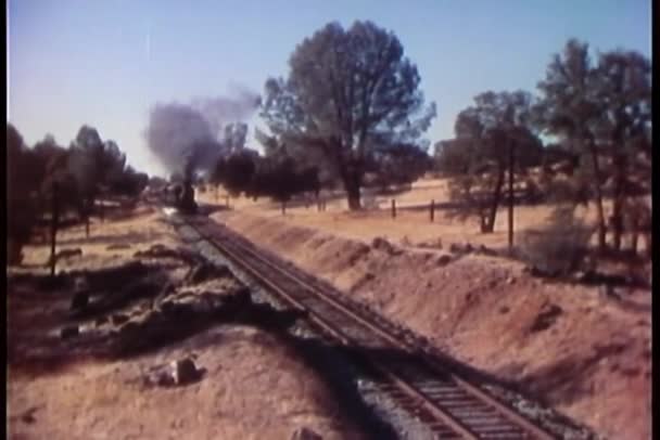田園地帯を通過する蒸気機関車 — ストック動画
