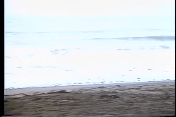 Rozwodzenie Się Nad Brzeg Morza Narzędzi Połowowych Piasku — Wideo stockowe