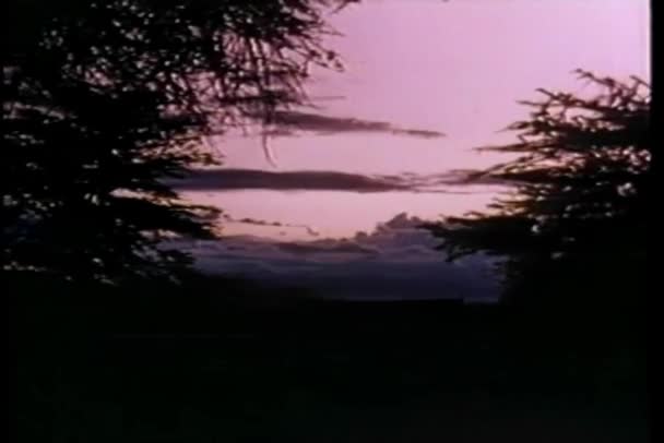Răsăritul Soarelui Kenya Fundalul Naturii — Videoclip de stoc