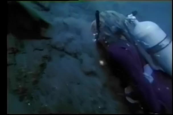 Аквалангіст Плавання Нижній Частині Річки — стокове відео