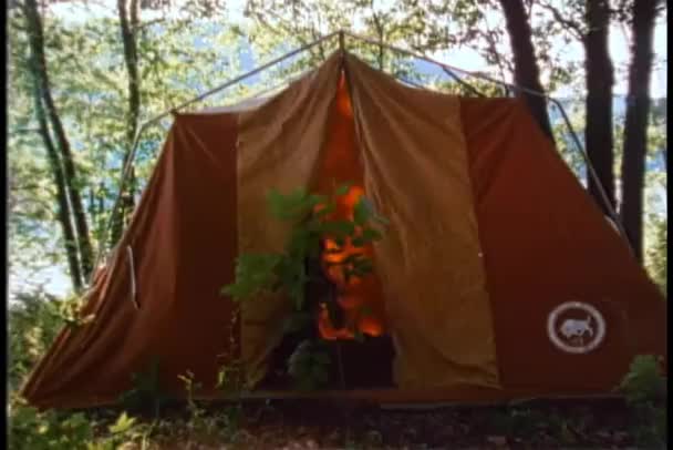 Wide Shot Tent Collapsing Forest — Stock Video