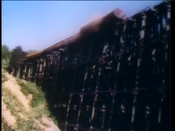 Tren Mercancías Que Lleva Troncos Cayendo Del Puente Colapsado — Vídeos de Stock