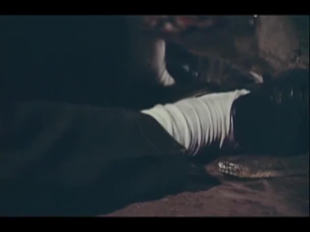 Κροταλίας Σερνόταν Στο Πόδι Του Ανθρώπου 1970 — Αρχείο Βίντεο