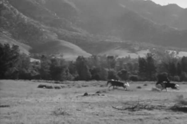 Kovboy Vahşi 1930 Larda Peşinde Atlı — Stok video