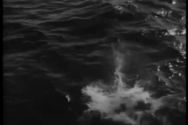 Adam Suya Atlama Uzakta Yüzme — Stok video