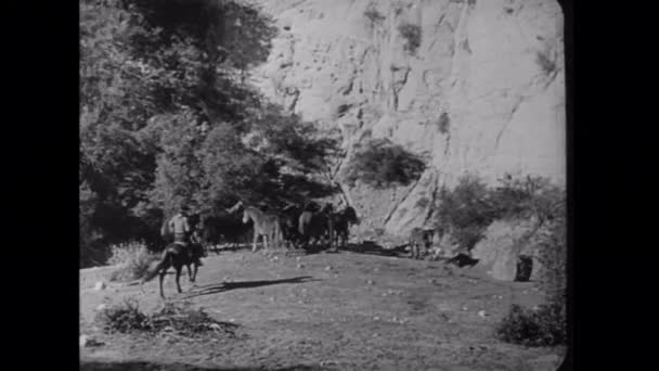 Amplo Tiro Cowboys Pastoreando Cavalos Lado Montanha — Vídeo de Stock