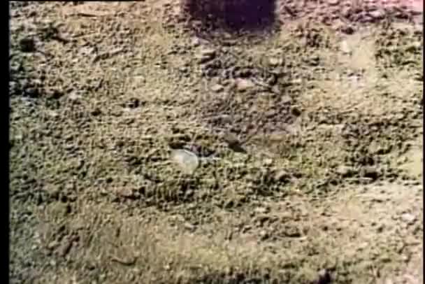 Soldaten Treten Auf Landmine — Stockvideo