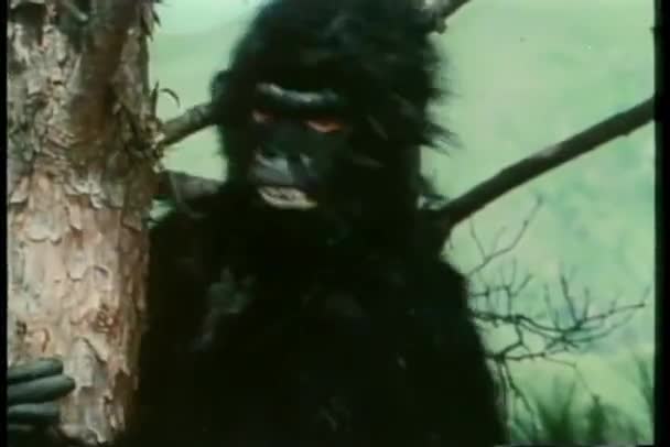 大猩猩西装会疯狂的信号在树中的男人 — 图库视频影像