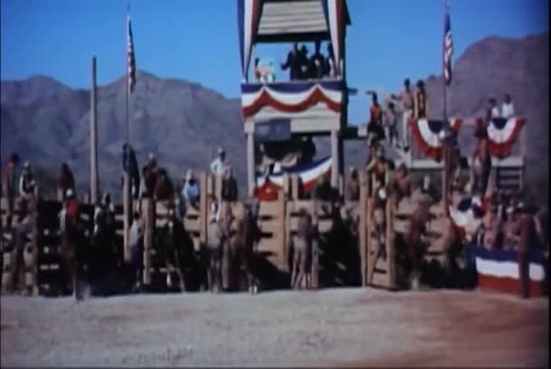 Rodeo Cowboys Auf Ruckelnden Broncos Aus Rutschen Befreit 1960Er Jahre — Stockvideo