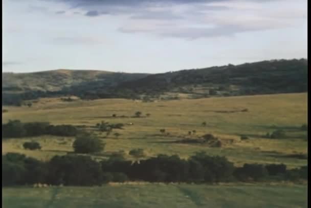 Панорамний Вид Долину Старовинні Кадри — стокове відео