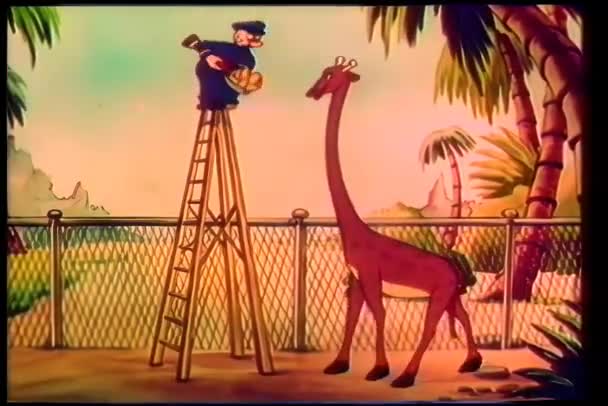 Dyrepasser Fodring Giraf – Stock-video