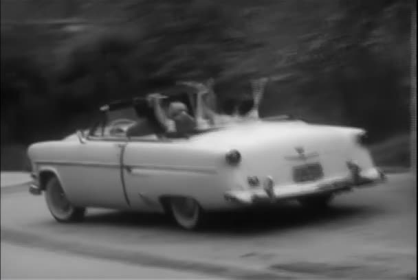 Boldog Tizenévesek Vezetés Kabrió Brentwood 1950 Években — Stock videók