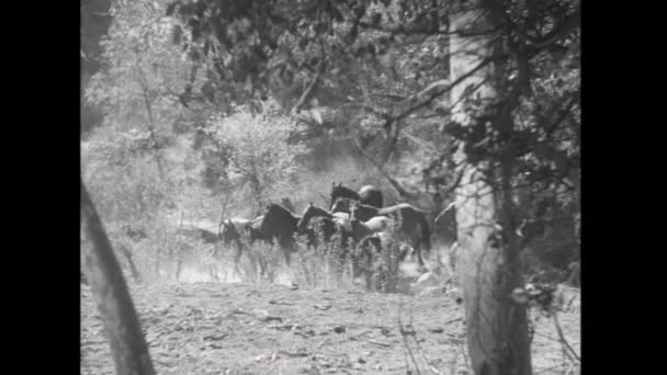 Cowboys Pastoreando Cavalos Através Das Planícies 1930 — Vídeo de Stock