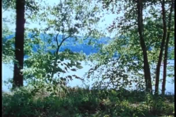 Άποψη Της Λίμνης Πίσω Από Δέντρα Στο Βάθος — Αρχείο Βίντεο