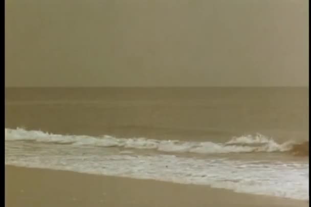 파도가 해변에 — 비디오