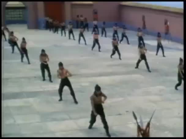 Men Practicing Martial Arts Large Courtyard — Stock Video