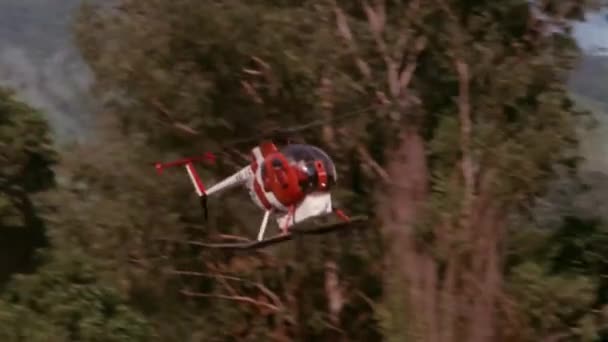 Přistání Trávníku Krajině 1980S Vrtulníku — Stock video