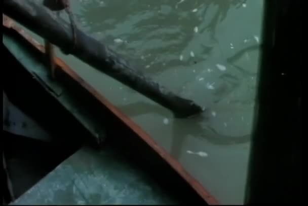 Közepes Lövés Férfiak Evezős Csónak — Stock videók