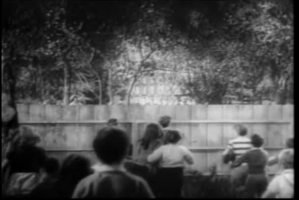 子供の木製のフェンス越しに覗きこんでの背面図 — ストック動画