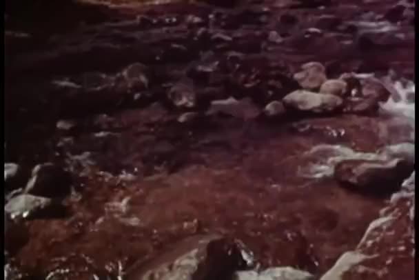 流淌的溪流 老式的镜头 图库视频片段