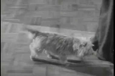 Adamın ayakları yerden yürüyor gibi takip korkunç